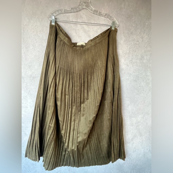 Coldwater Creek Dresses & Skirts - ColdWater Creek Pleated Green Skirt Size 2X CottageCore Peasant